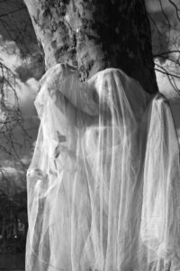 gabrielle-dameblanche