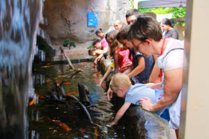 groupe-au-bassin-tactile