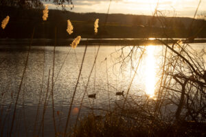 Coucher de soleil sur l'etang