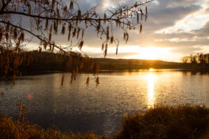 Dernieres-lueurs-du-jour