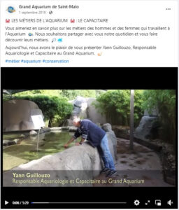 aquarium-metier-capacitaire