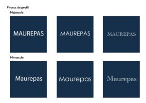 Logo-ville-de-maurepas