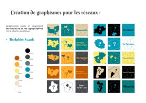 charte-graphique-declinaisons-reseaux