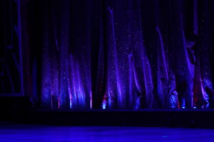 Détail de rideau, photographie de spectacle